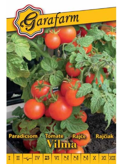 Rajčina kríčková 'Vilma' 0,2g GF
