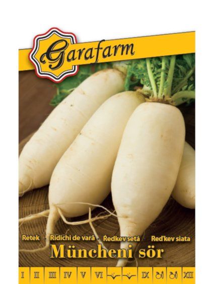 Reďkev siata 'Oval Blanc de Munich' 3g