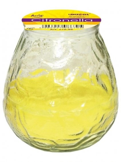 citronella v skle