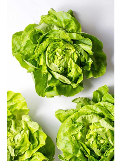 what is butter lettuce 4773670 hero 06 0b9d54128b3e48e081015e17b5764c39