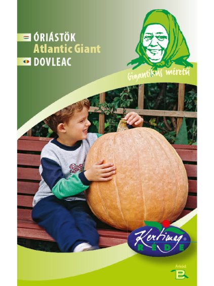 Tekvica obrovská 'Atlantic Gigant' 6 semien rédei