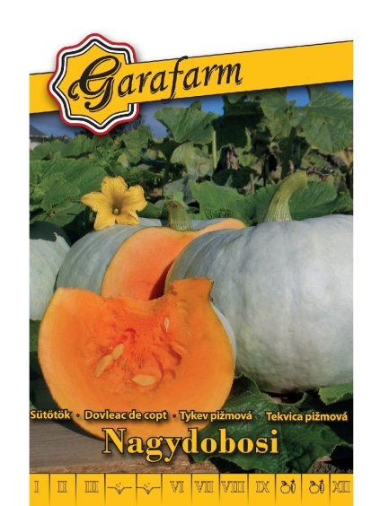 Tekvica 'Nagydobosi' 3g garafarm