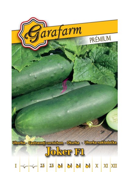 Salátauborka 'Joker F1' 1g