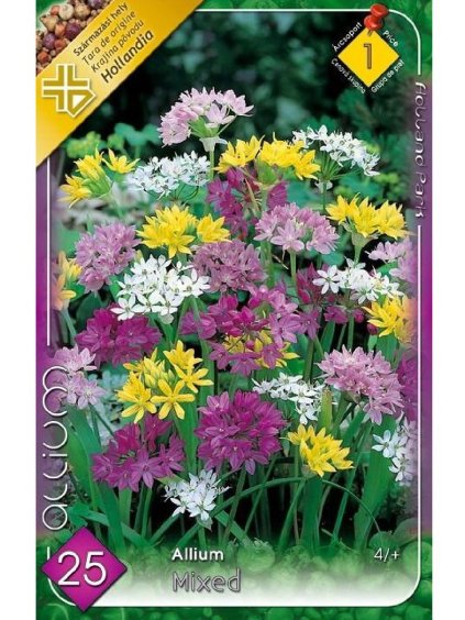Okrasný Cesnak 'Allium Mixed' 25ks