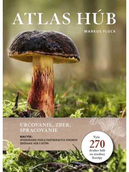 large atlas hub urcovanie zber spracovanie