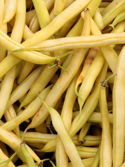 Fazuľa 'Sonesta' 45g