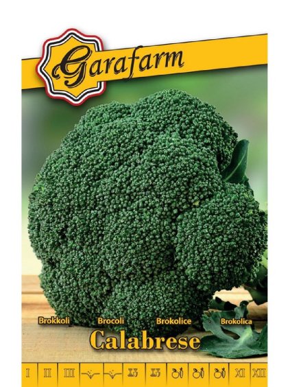 Brokolica 'Calabrese' 2g GF