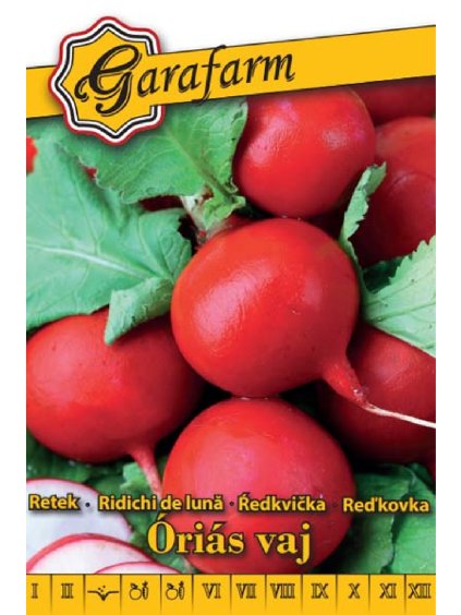 Reďkev 'Óriás Vaj' 4g