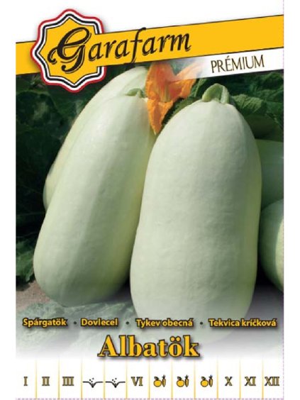 Tekvica 'Alba' 3g garafarm