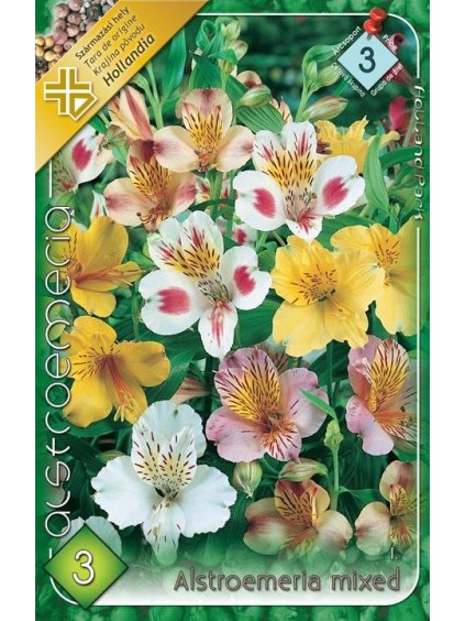 alstroemeria mixed