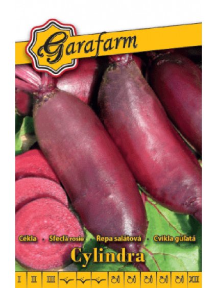 Cvikla 'Cylindra' 3g garafarm