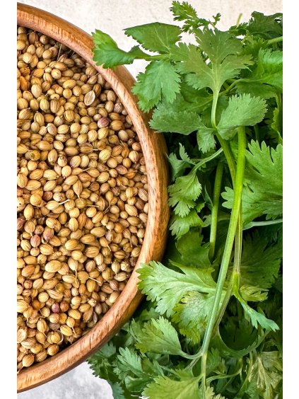 Is Coriander the Same as Cilantro 1 ezgif.com webp to jpg converter