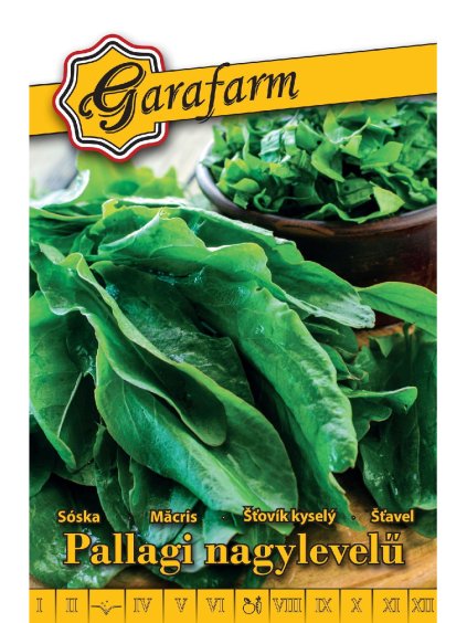 Šťaveľ 'Pallagi' 1,5g garafarm
