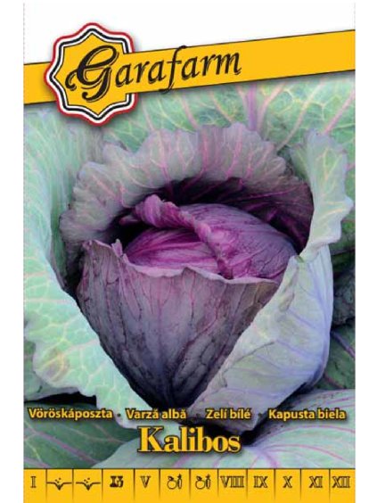 Kapusta červená 'Kalibos' 1,5g garafarm