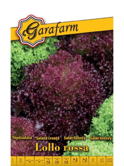 Šalát trhací 'Lollo Rossa' 2g garafarm