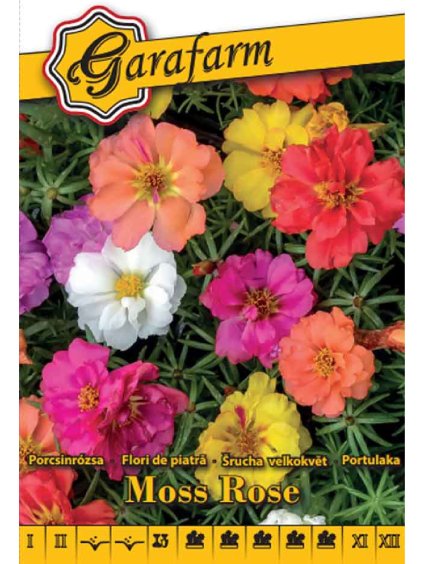 Portulaka veľkokvetá 'Moss Rose' zmes 0,1g GF