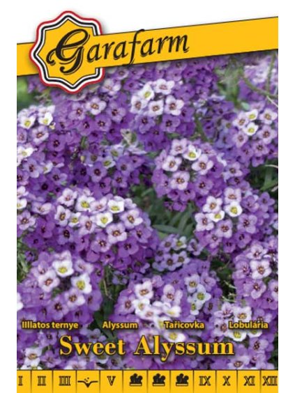Lobulária prímorská 'Sweet Alyssum' 0,5g garafarm