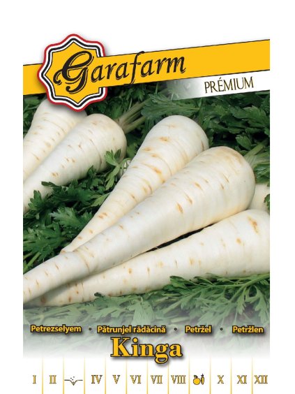 Petržlen 'Kinga' 3,5 g GF