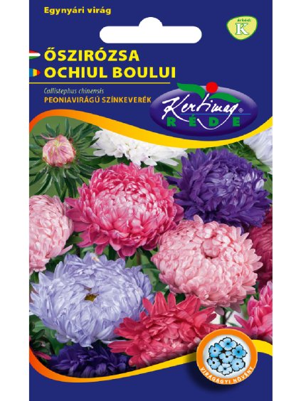 Astrovka Peón zmes 1g rédei kertimag