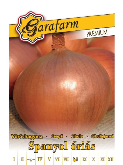 Cibuľa 'Spanyol óriás' 1,5g
