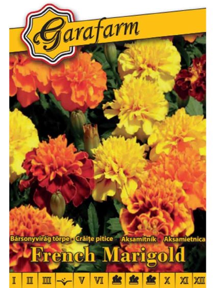 Aksamietnica drobnokvetá 'French Marigold Petite' zmes 0,5g GF