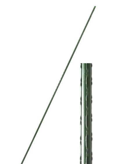 tyc