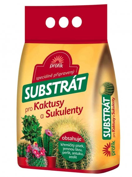 profík kaktus sukulent