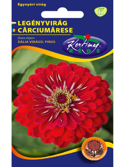 Cínia dáhliokvetá červená 2g rédei kertimag