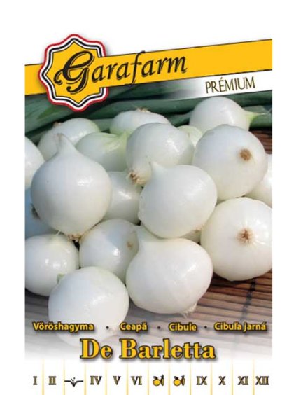 Cibuľa kuchynská jarná 'De Barletta' 2g garafarm