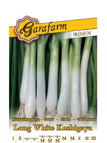 Cibuľa zimná 'Long White Koshigaya' 1g