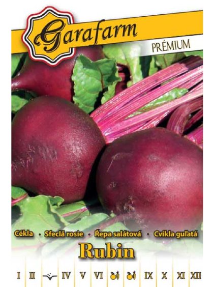 Cvikla šalátová 'Rubin' 3g