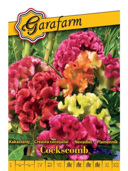 Plamenník striebristý, hrebenistý zmes 0,3g