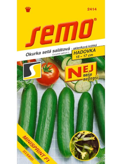 Uhorka šalátová 'Minisprint F1' 10 semien