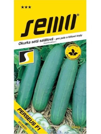 Uhorka šalátová 'Perseus F1' 1,3g