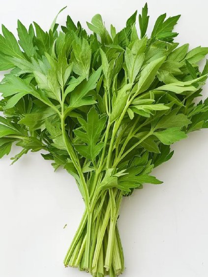 Ligurček lekársky 'Lovage' 1g