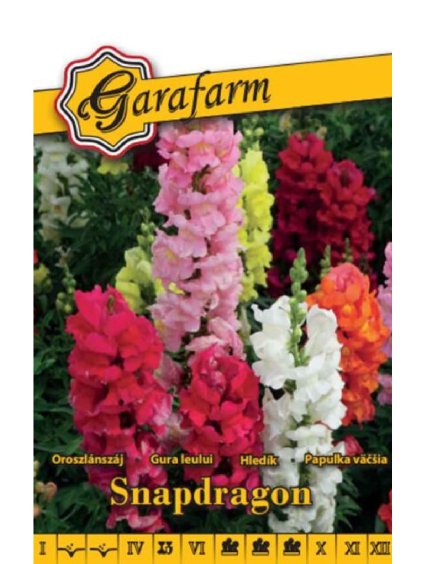 Papuľka 'Snapdragon' zmes 0,5g garafarm