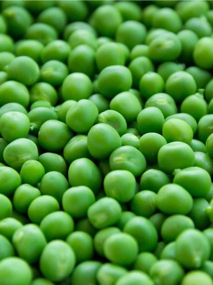 Hrach siaty skorý 'Garai korai' 250g