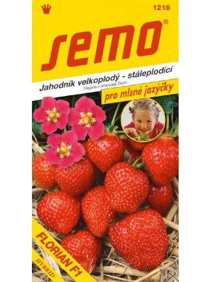 Jahodník veľkoplodý 'Florian F1' 12s