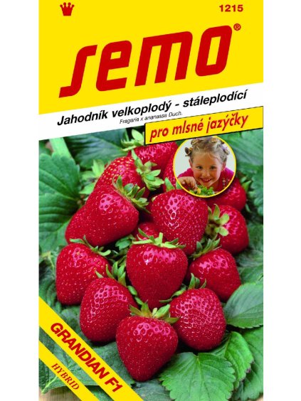 Jahodník veľkoplodý 'Grandian F1' 12s