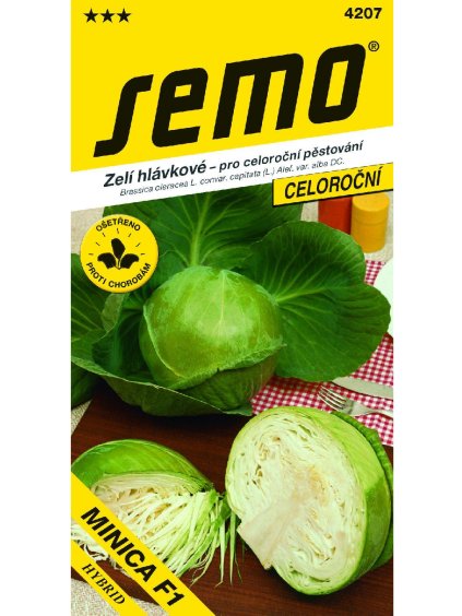 SEMO Kapusta jarná, skorá 'Minica F1' 50 semien