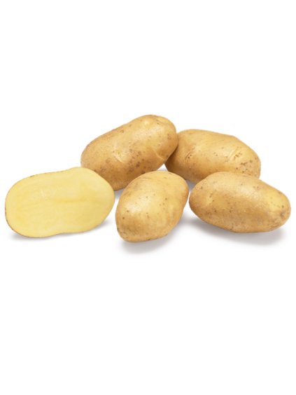 Sadbové zemiaky 'Babylon' minihľuzy 50ks