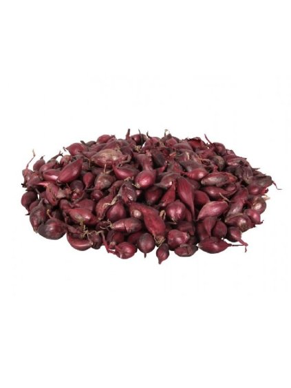 Cibuľa sadzačka 'Romy' 8 16mm