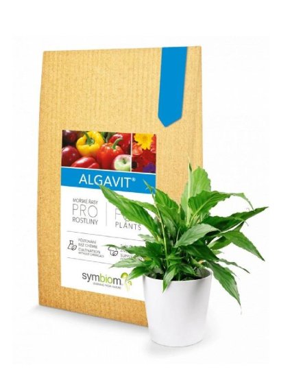 Algavit 100g