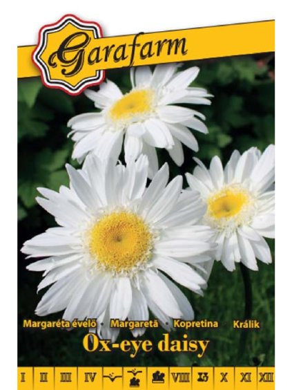 Králik biely Margarétka 'Ox eye' 0,5g garafarm