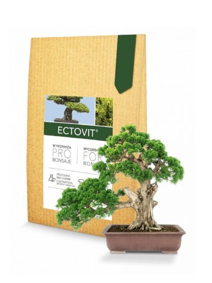 Ectovit Bonsai 100g