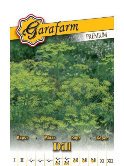 Kôpor voňavý 'Dill' 3g