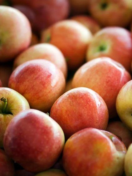 pomforyou lancelot