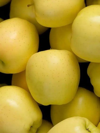 golden delicious reinders