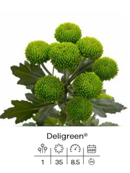 Deligreen