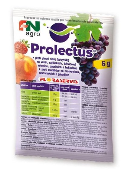 Prolectus